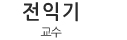 전익기