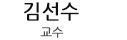 김선수